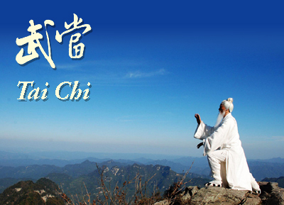 Tai Chi Wu-Dang style